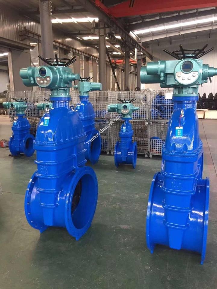 57294106_2271864273132194_3811728529683382272_n_1