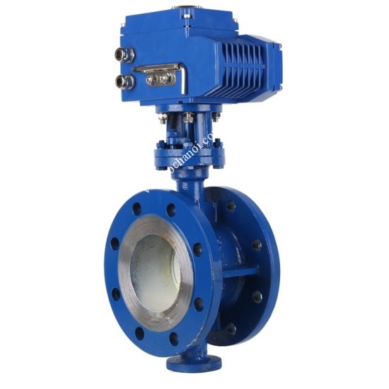 van_buom_dien_mat_bich