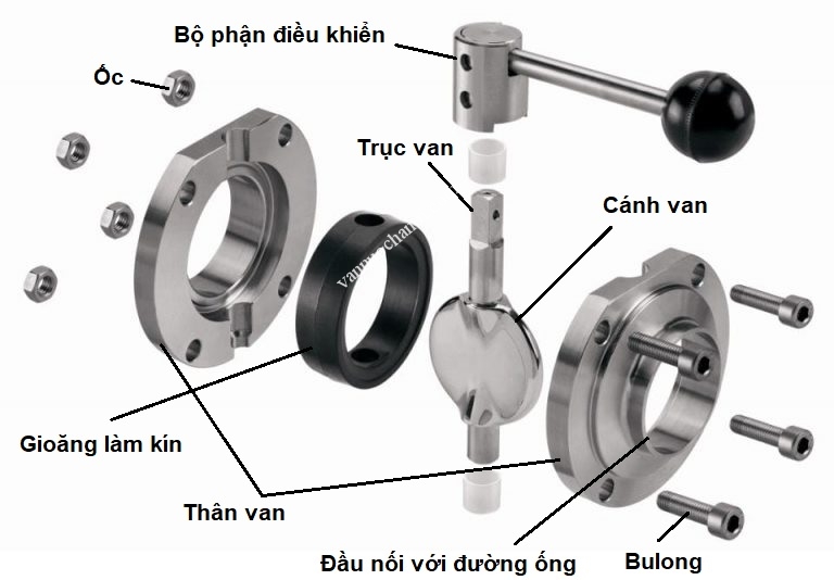 cau_tao_van_buom_vi_sinh