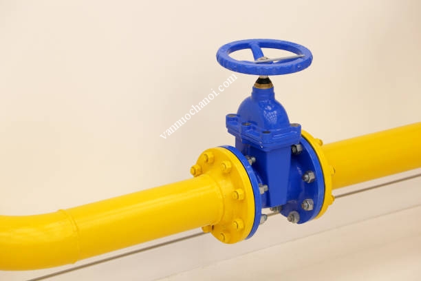 lap_dat_van_cong_ty_chim