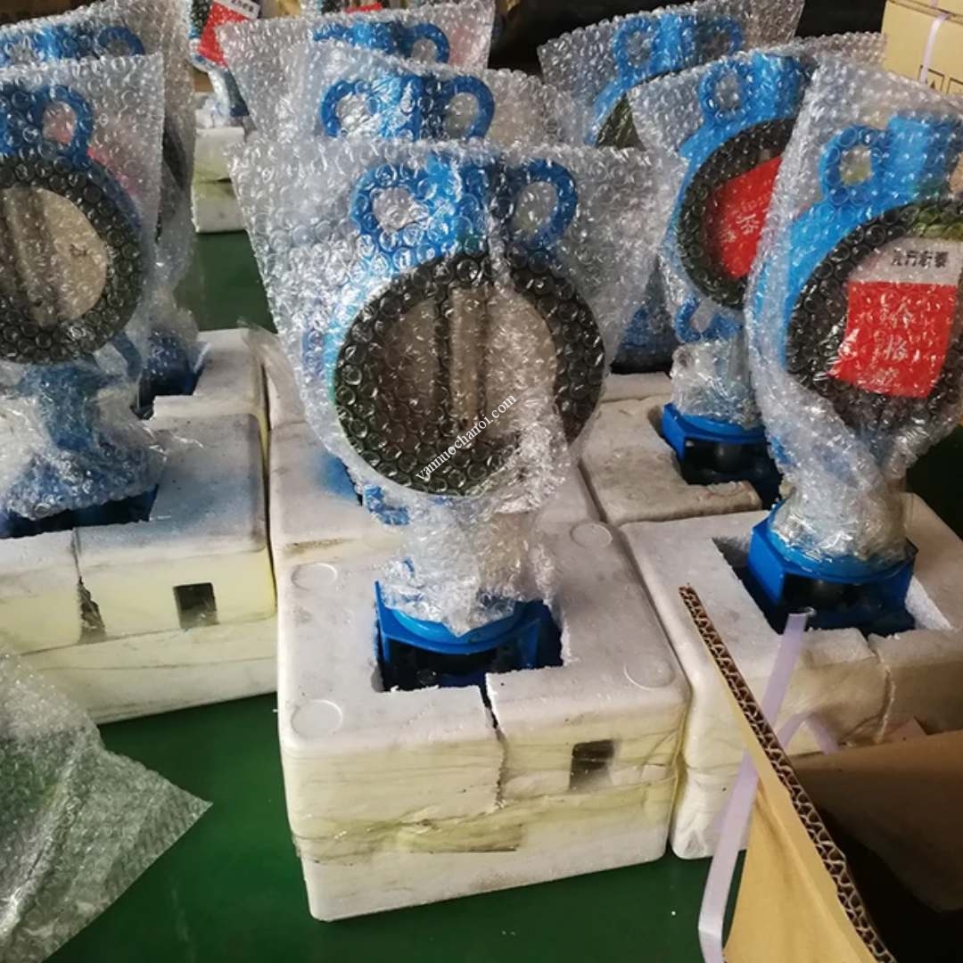 van-buom-dien-chinh-hang