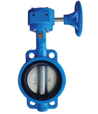 van_buom_tay_quay_shinyi