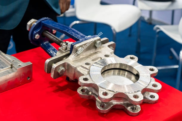 van_cong_dao_chinh_hang