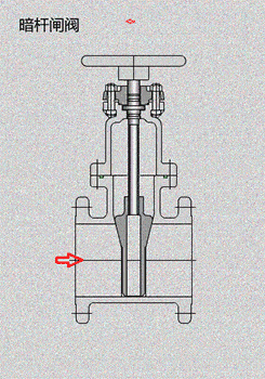 van_cong_ty_chim_hoat_dong_nhu_the_nao