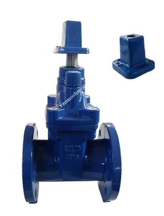 van_cong_ty_chim_nap_chup..