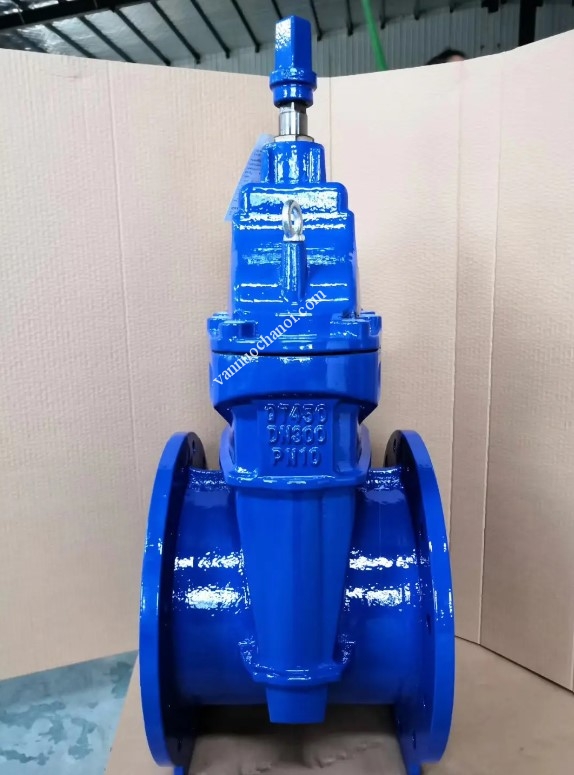 van_cua_ty_chim_nap_chup