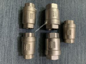Van một chiều lò xo inox