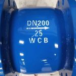 Van một chiều lò xo gang