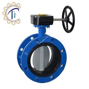 Van bướm tay quay mặt bích