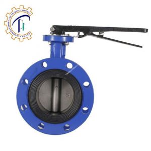 Van bướm tay gạt gang