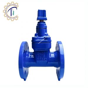 Van cổng ty chìm nắp chụp