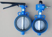 Các dòng van bướm Hàn Quốc được ưa chuộng nhất